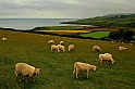 Isle Of Man 21